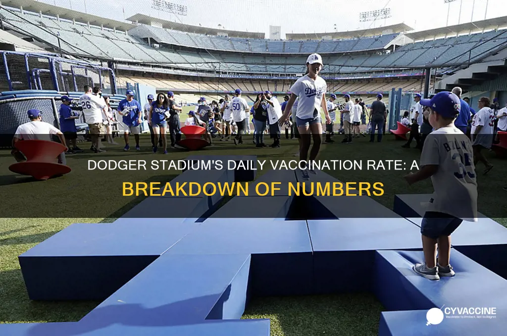how many vaccinations per day at dodger stadium