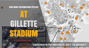 Gillette Stadium's Daily Vaccination Numbers: A Closer Look