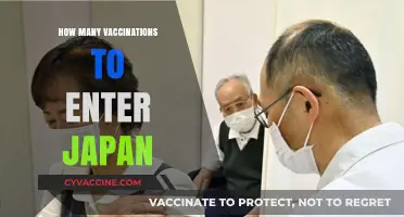 Japan Travel Vaccination Requirements: What You Need to Know