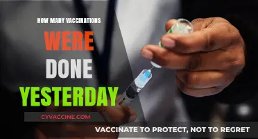Yesterday's Vaccination Count: A Snapshot of Global Immunization Efforts