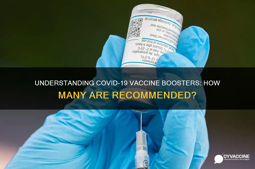 how many vaccine boosters are there