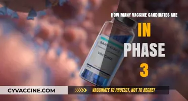 Global Vaccine Race: Phase 3 Candidates and Their Progress