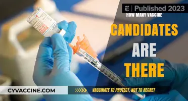 Exploring the Global Pipeline of COVID-19 Vaccine Candidates