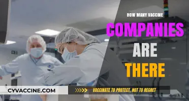 Exploring the Global Landscape of Vaccine Manufacturers and Their Count