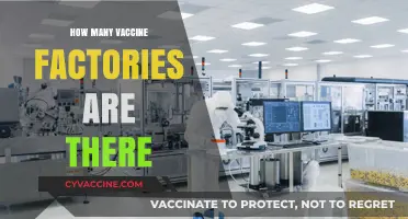 Global Vaccine Production: Counting the World’s Manufacturing Facilities