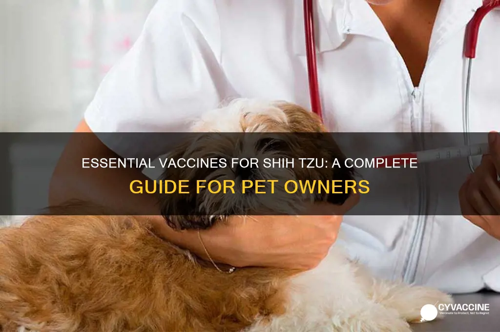 how many vaccine for shih tzu