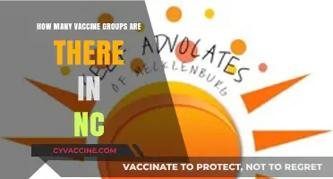 Understanding North Carolina's Vaccine Groups: A Comprehensive Breakdown