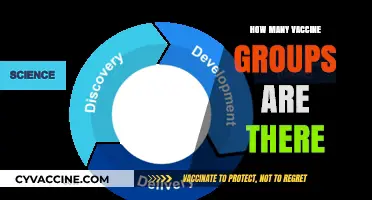 Understanding the Diverse Groups of Vaccines Available Worldwide