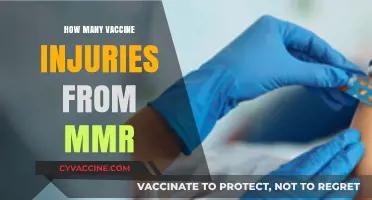 MMR Vaccine Injuries: Separating Facts from Misinformation and Concerns