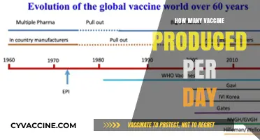 Global Vaccine Production: Daily Output and Distribution Insights