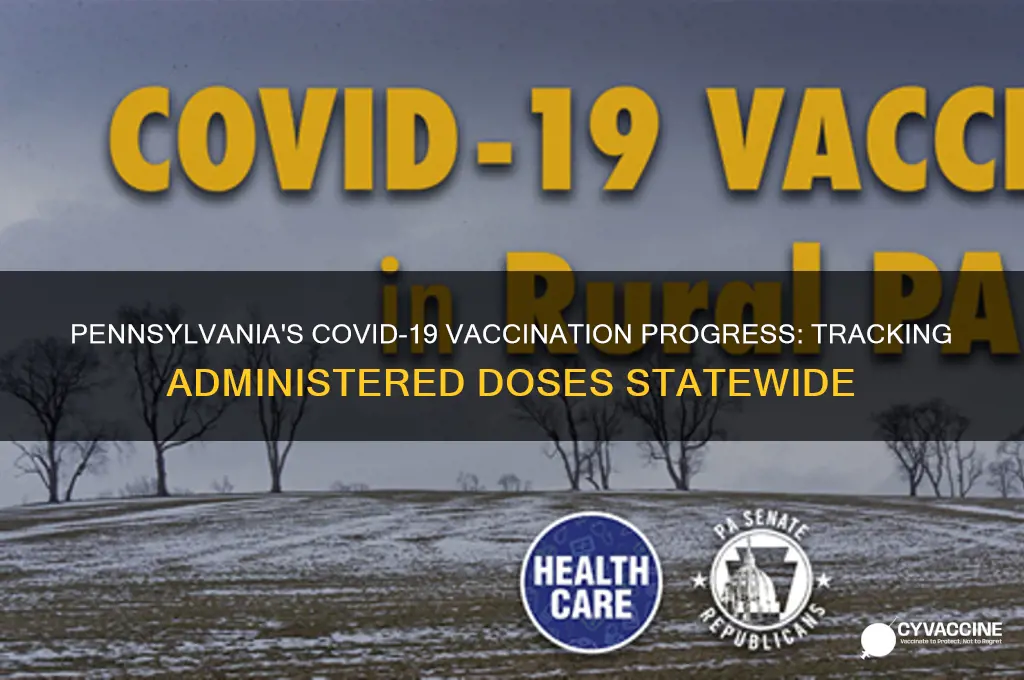 how many vaccines administered in pa