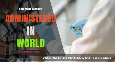 Global Vaccine Rollout: Tracking Worldwide Administration Numbers and Impact