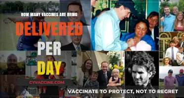 Daily Global Vaccine Rollout: Tracking Delivery Numbers and Progress