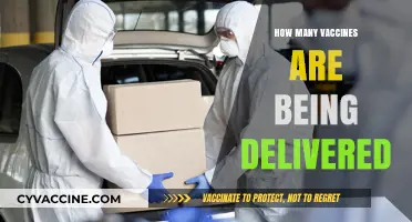 Global Vaccine Distribution: Tracking Delivery Numbers and Impact Worldwide