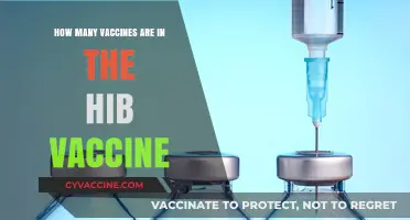 Understanding the Hib Vaccine: Components and Their Role in Immunity
