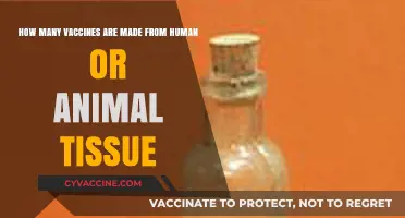 Vaccine Origins: Human and Animal Tissue Use Explained