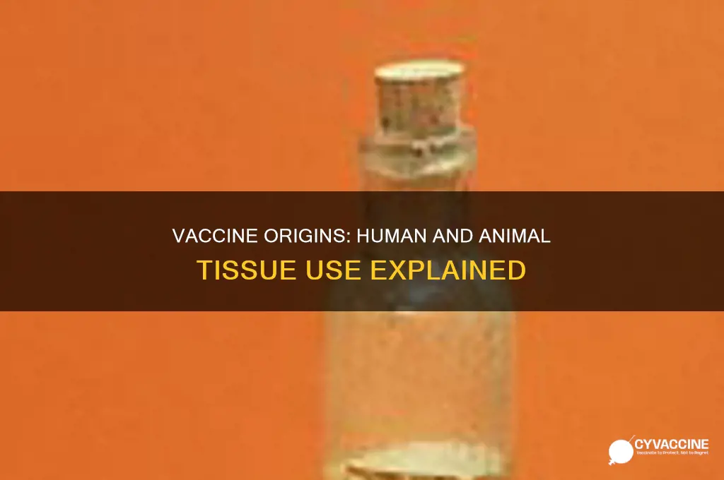 how many vaccines are made from human or animal tissue