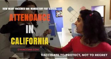 California School Vaccination Requirements: Mandatory Shots for Attendance