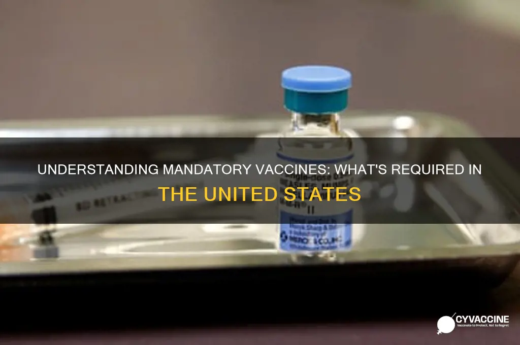 how many vaccines are mandatory in the us