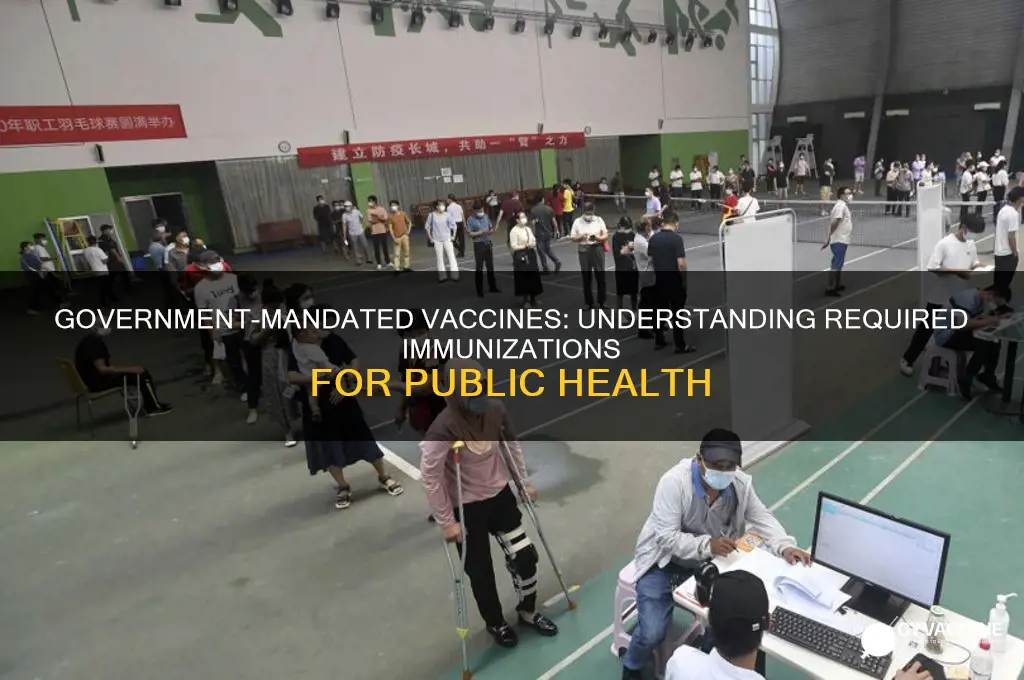 how many vaccines are manditory by the government