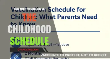 Childhood Vaccines: A Schedule to Protect Your Child