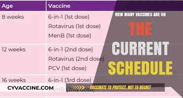 Understanding the Current Vaccine Schedule: A Comprehensive Guide for Parents