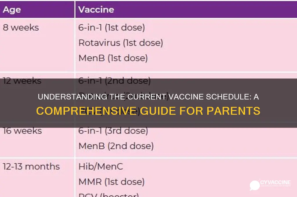 how many vaccines are on the current schedule
