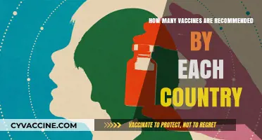 Global Vaccine Recommendations: Country-Specific Immunization Schedules Explained