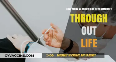 Lifelong Vaccine Schedule: Essential Immunizations for Every Life Stage
