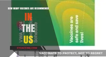 Recommended Vaccines in the US: A Comprehensive Guide to Immunization