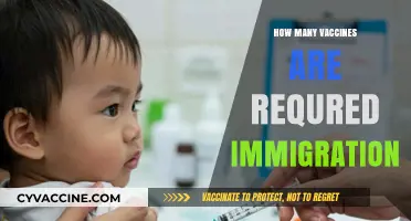 Essential Vaccines for Immigration: Understanding Required Immunizations for Newcomers