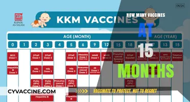 Essential 15-Month Vaccines: A Guide to Your Toddler's Immunizations