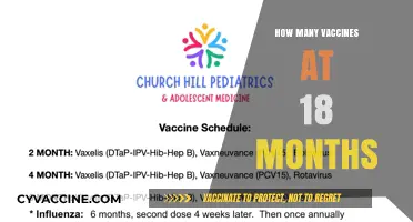 Essential Vaccines for Toddlers: 18-Month Immunization Schedule Explained