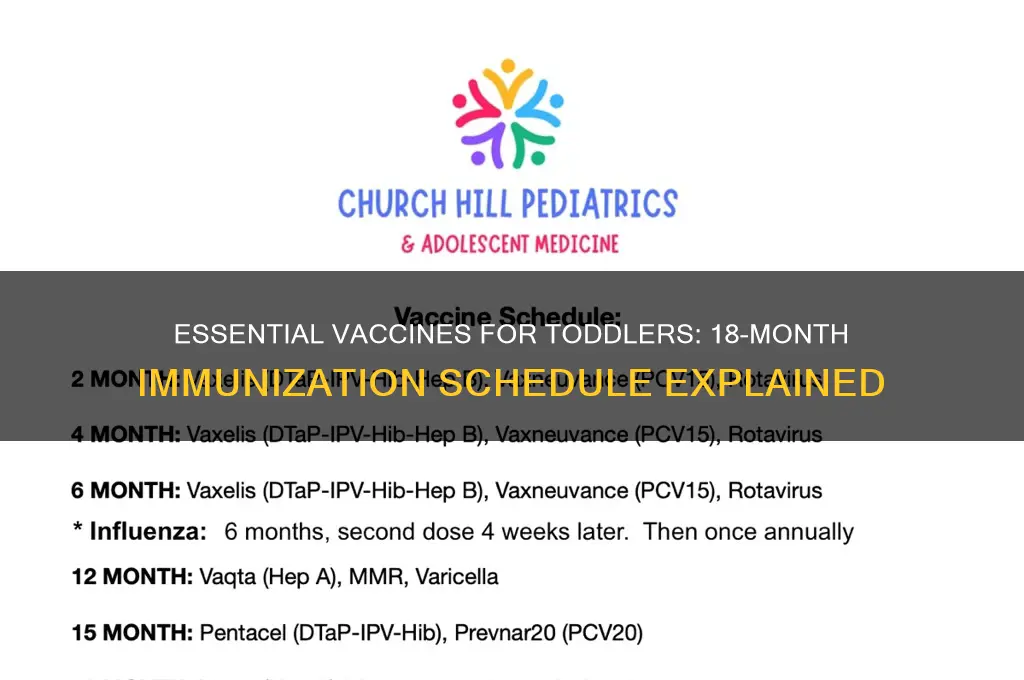 how many vaccines at 18 months