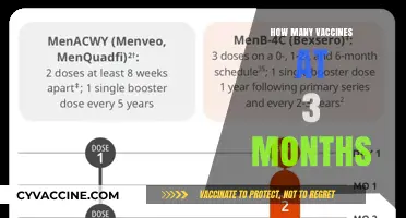 Vaccine Schedule at 3 Months: Essential Shots for Your Baby's Health