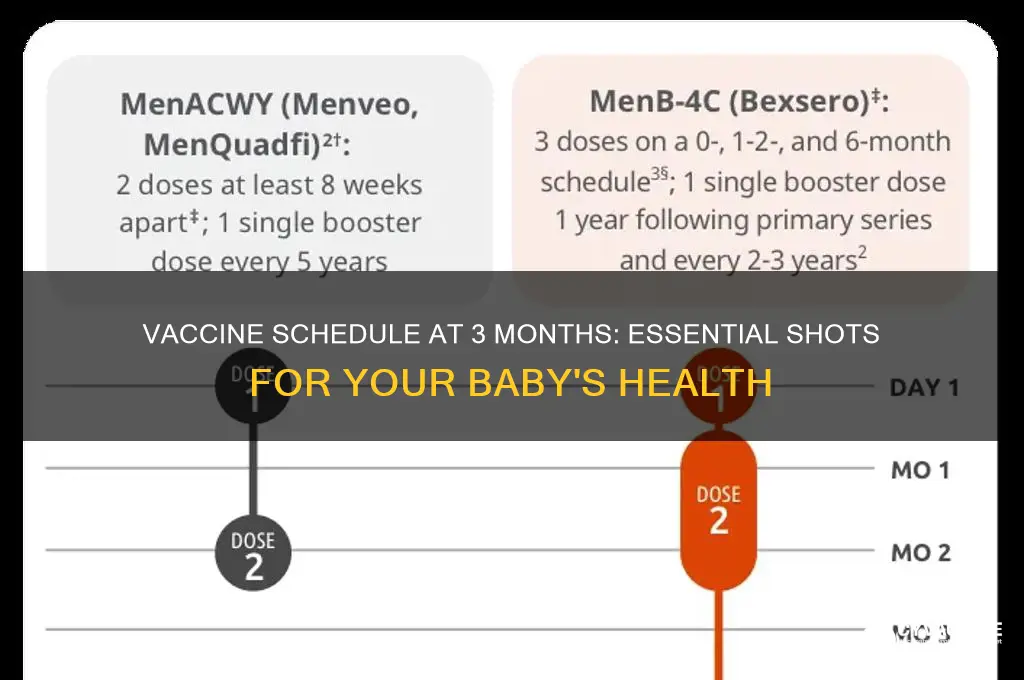 how many vaccines at 3 months
