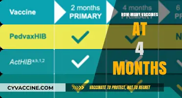Vaccine Schedule at 4 Months: What to Expect for Your Baby