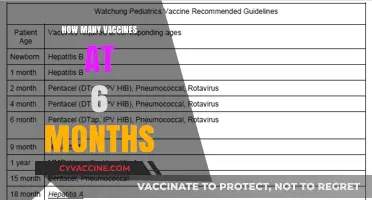 Essential 6-Month Vaccines: A Guide to Your Baby's Immunization Schedule
