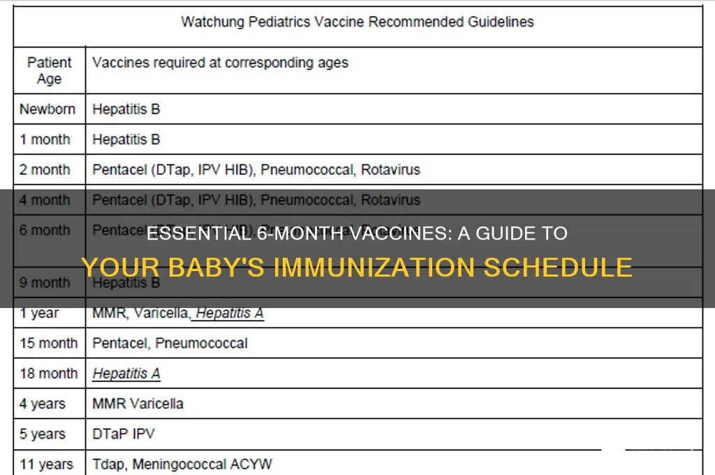 how many vaccines at 6 months