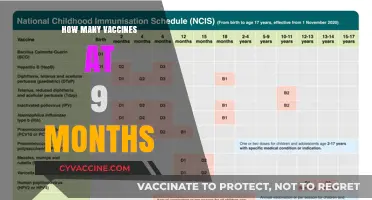 Vaccine Schedule at 9 Months: Essential Shots for Your Baby's Health