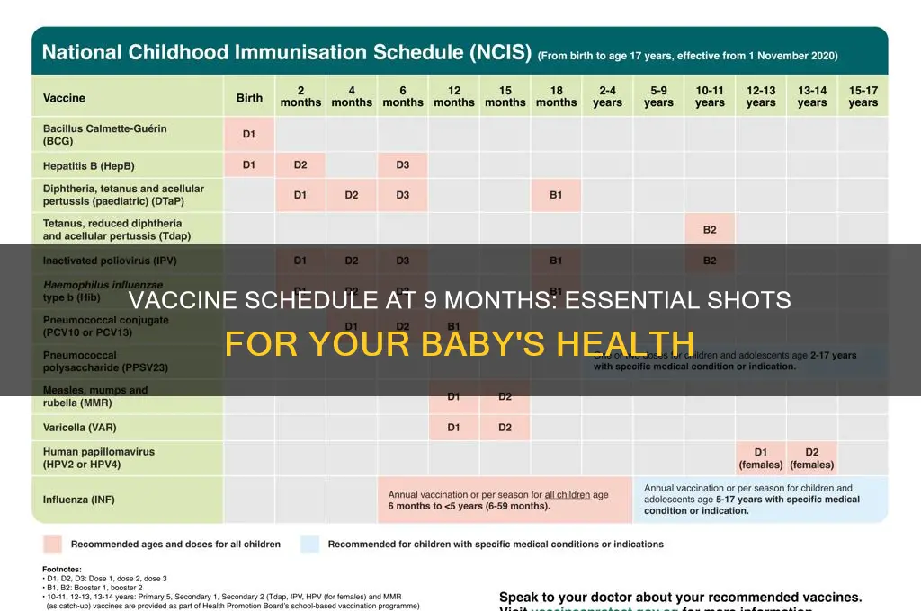 how many vaccines at 9 months