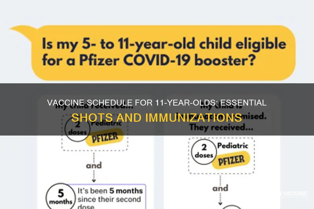 how many vaccines at age 11