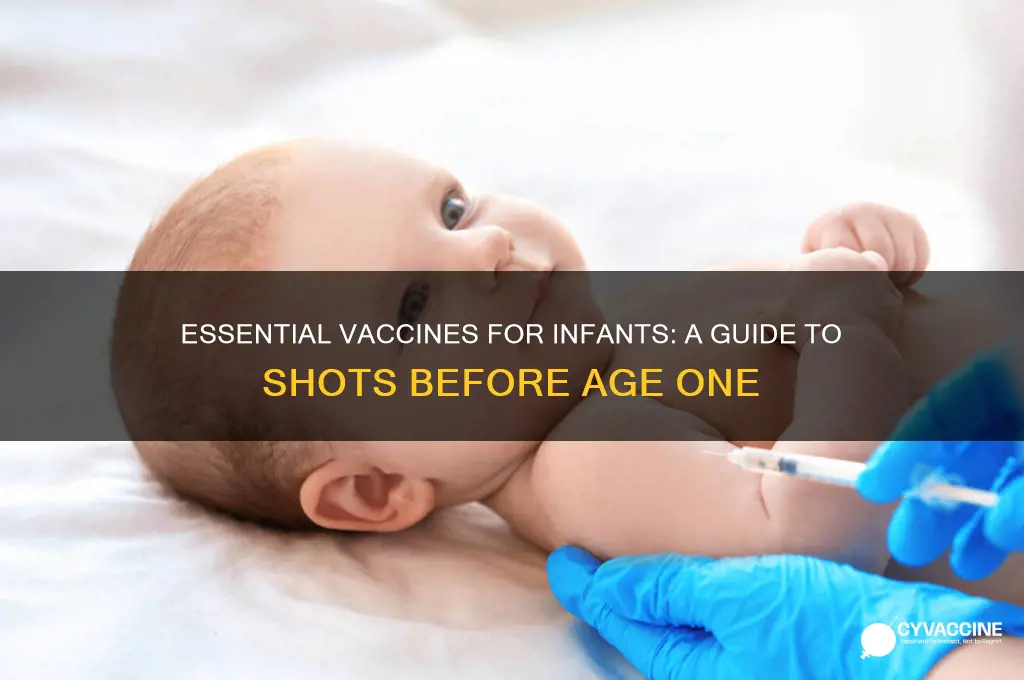 how many vaccines before age 1