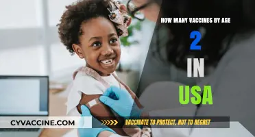 Essential Vaccines for Toddlers: A Guide to Immunizations by Age 2