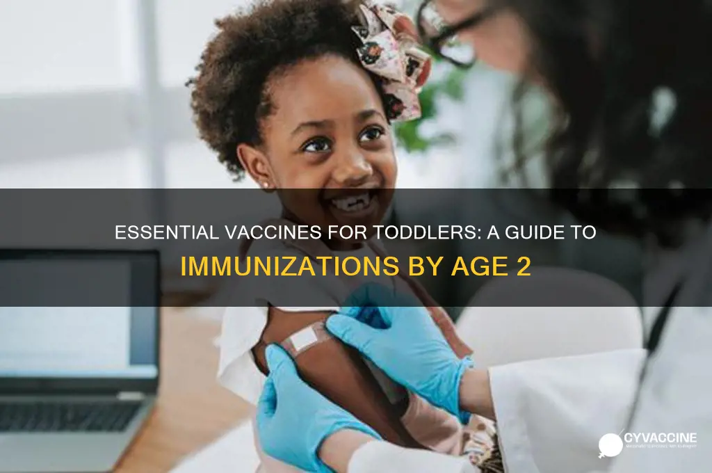 how many vaccines by age 2 in usa