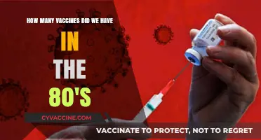 Vaccines in the 1980s: A Look at Immunization Advancements