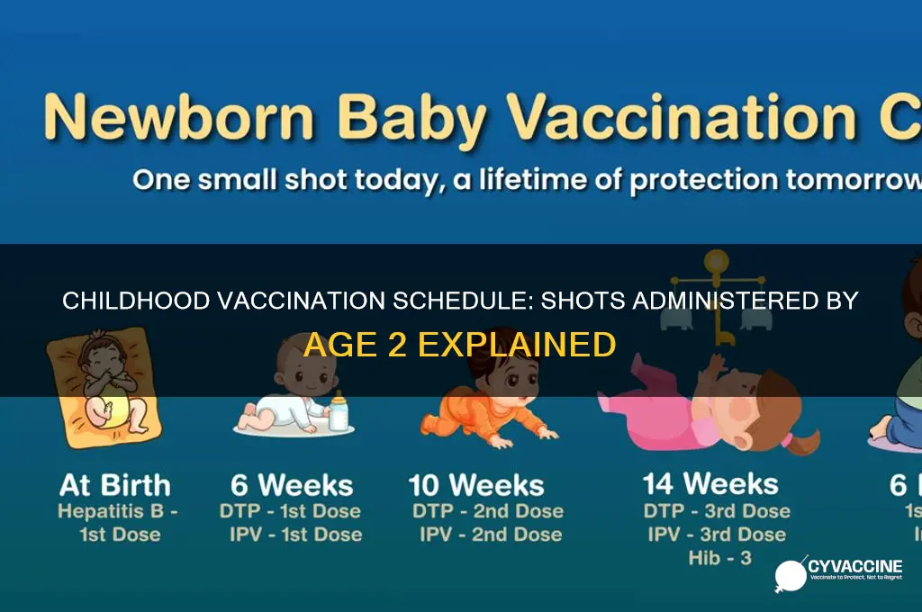 how many vaccines does a child receive by age 2