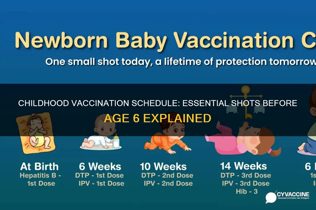 how many vaccines does a child recieve before age 6