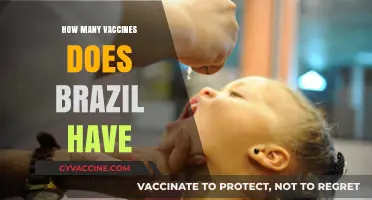 Brazil's Vaccine Portfolio: A Comprehensive Overview of Available Immunizations