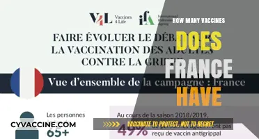 France's Vaccine Count: A Comprehensive Overview of Available Immunizations